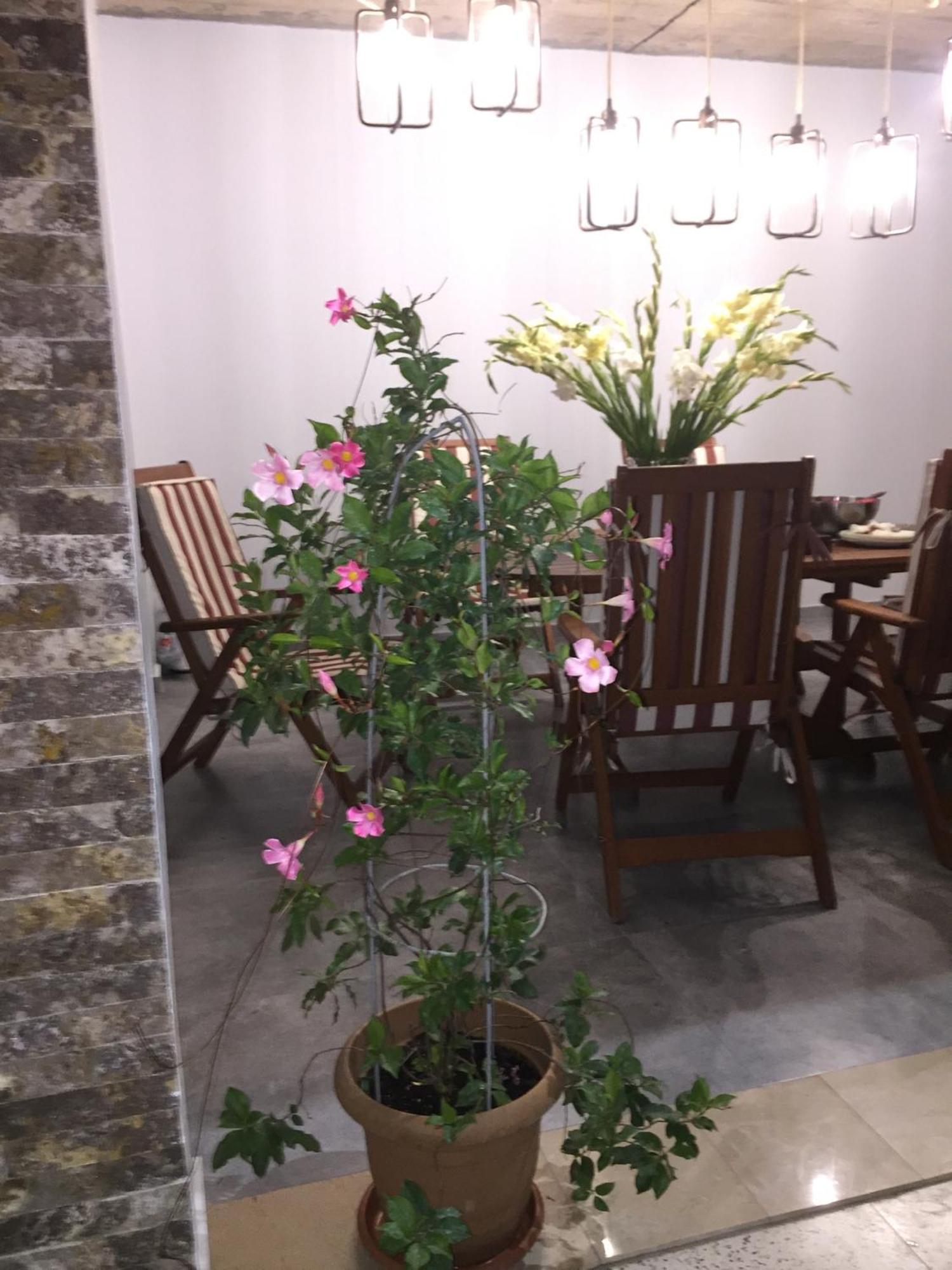科布列季 微笑宾馆酒店 外观 照片
